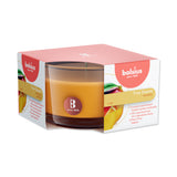 Scented candles in a glass 50/80 mm mango