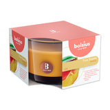 Scented Candles in a Glass 95/95 mm True Scents (Mango)